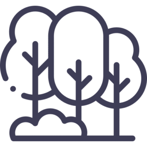 Entorno natural en plena naturaleza